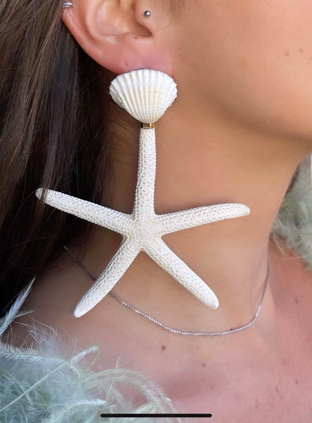 A REAL STARFISH - Image 2